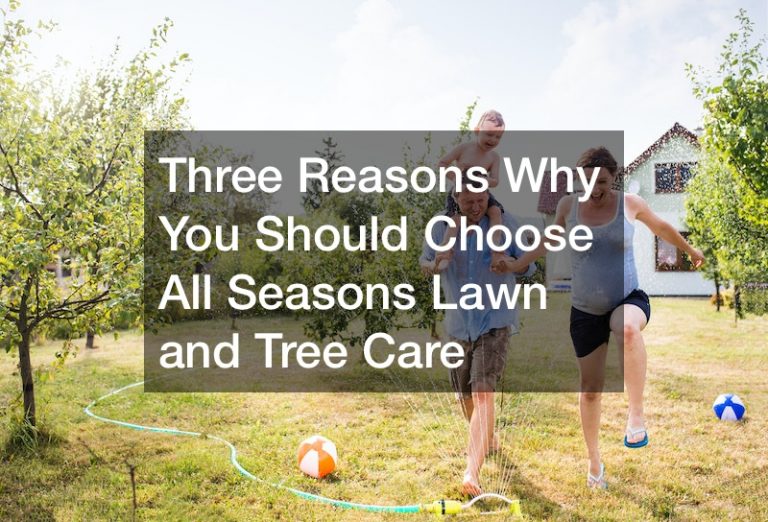 Three Reasons Why You Should Choose All Seasons Lawn and Tree Care