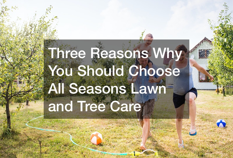 Three Reasons Why You Should Choose All Seasons Lawn and Tree Care