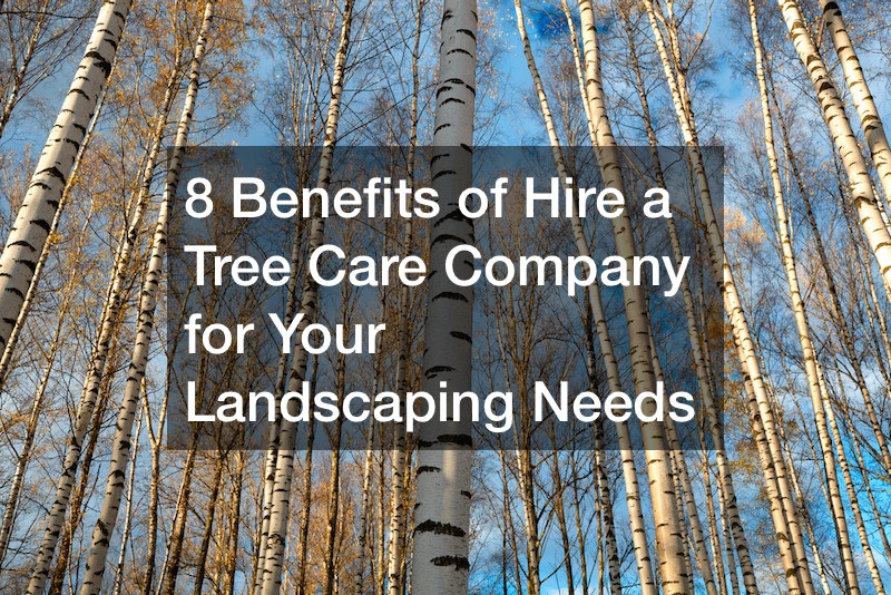 8 Benefits of Hire a Tree Care Company for Your Landscaping Needs