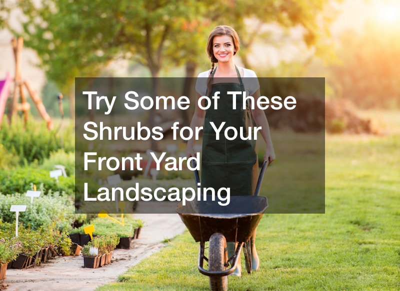 Try Some of These Shrubs for Your Front Yard Landscaping