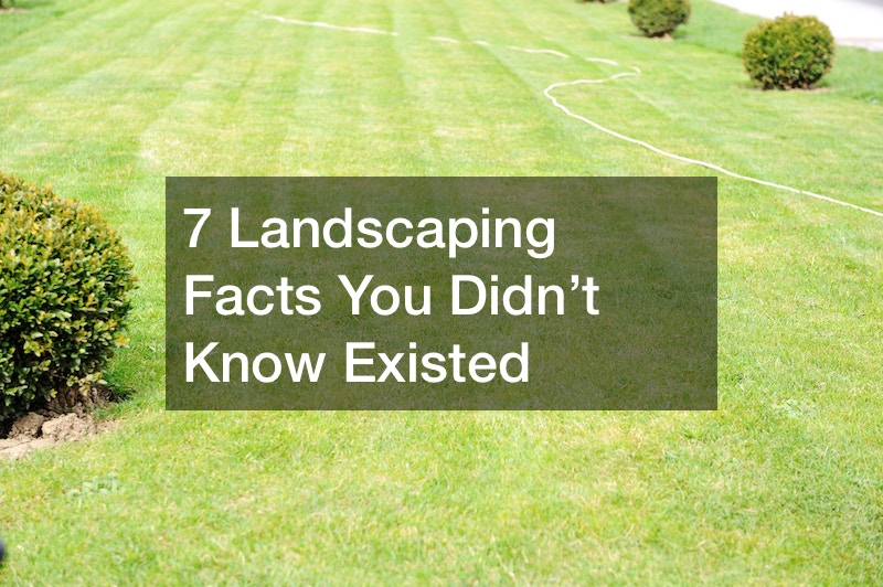 7 Landscaping Facts You Didn’t Know Existed