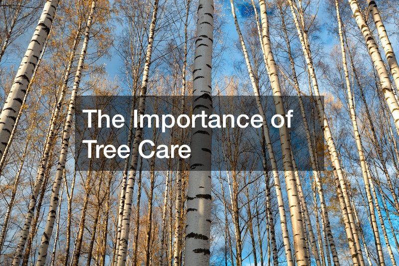 The Importance of Tree Care