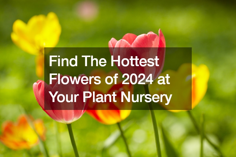 Find The Hottest Flowers of 2024 at Your Plant Nursery