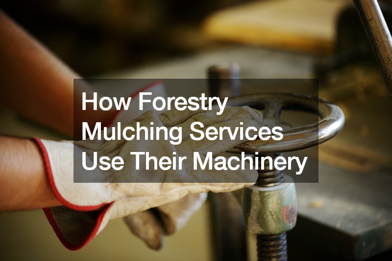 How Forestry Mulching Services Use Their Machinery