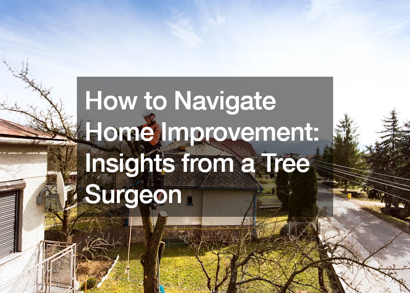 How to Navigate Home Improvement  Insights from a Tree Surgeon