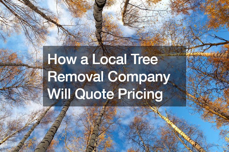 How a Local Tree Removal Company Will Quote Pricing