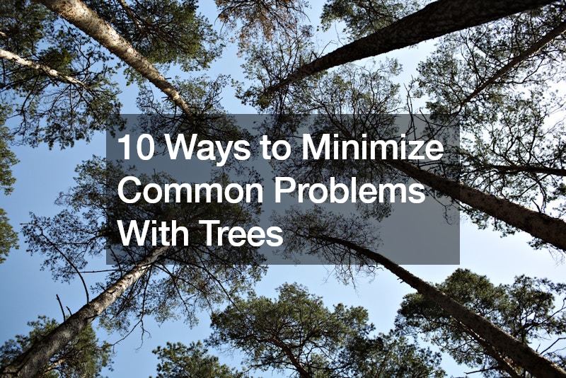 10 Ways to Minimize Common Problems With Trees
