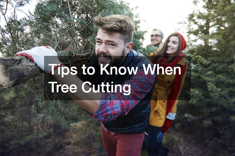 Tips to Know When Tree Cutting