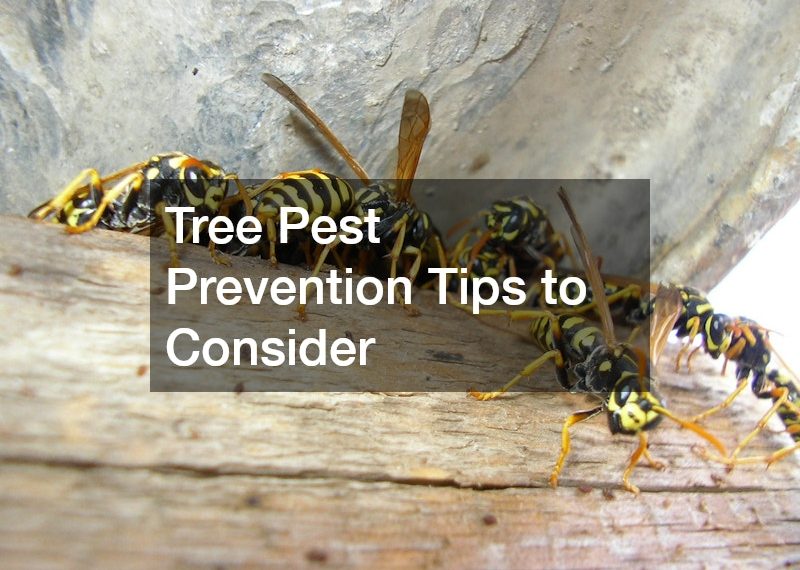 Tree Pest Prevention Tips to Consider