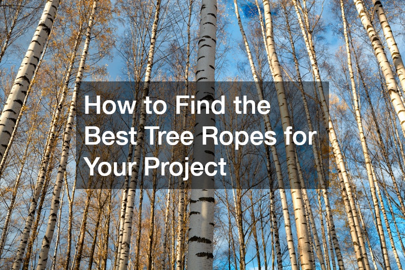 How to Find the Best Tree Ropes for Your Project