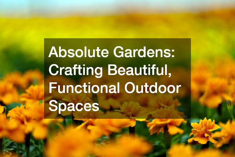 Absolute Gardens  Crafting Beautiful, Functional Outdoor Spaces