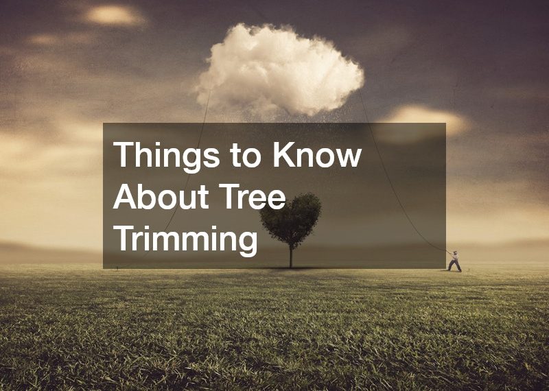 Things to Know About Tree Trimming