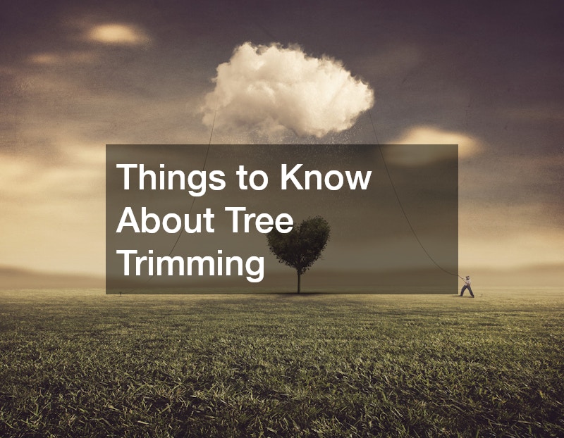 Things to Know About Tree Trimming