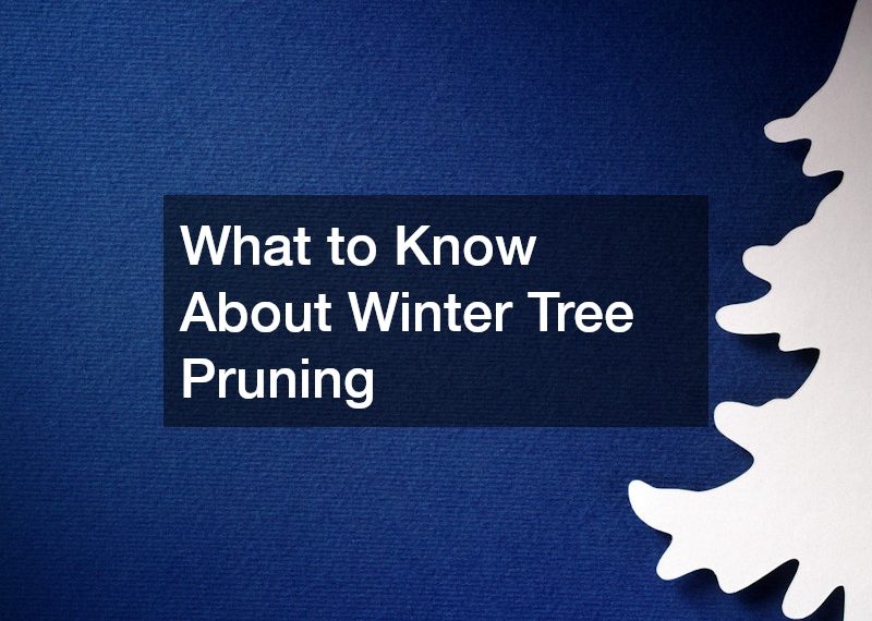 What to Know About Winter Tree Pruning