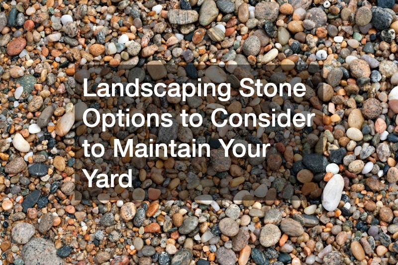 Landscaping Stone Options to Consider to Maintain Your Yard