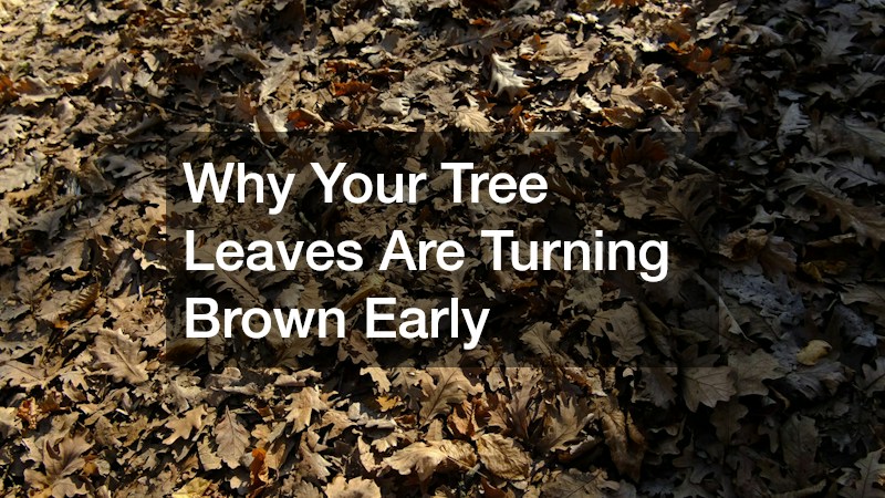 Why Your Tree Leaves Are Turning Brown Early